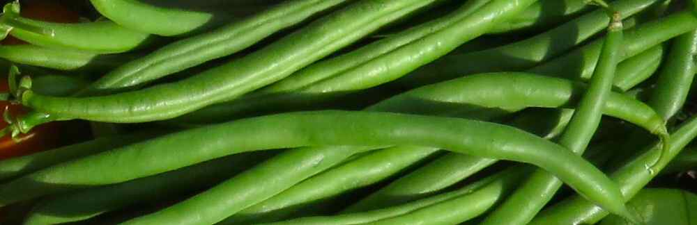 Green snap beans