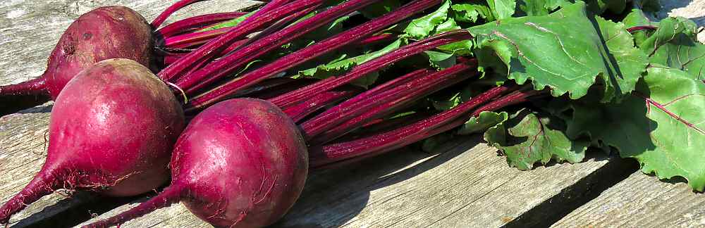 Beets