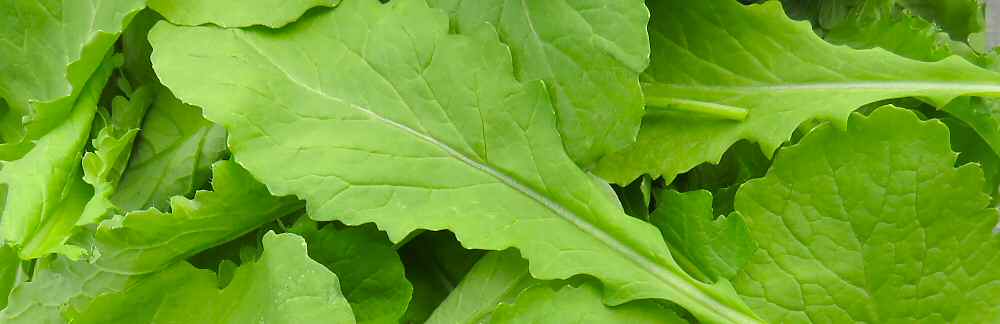 Mustard greens